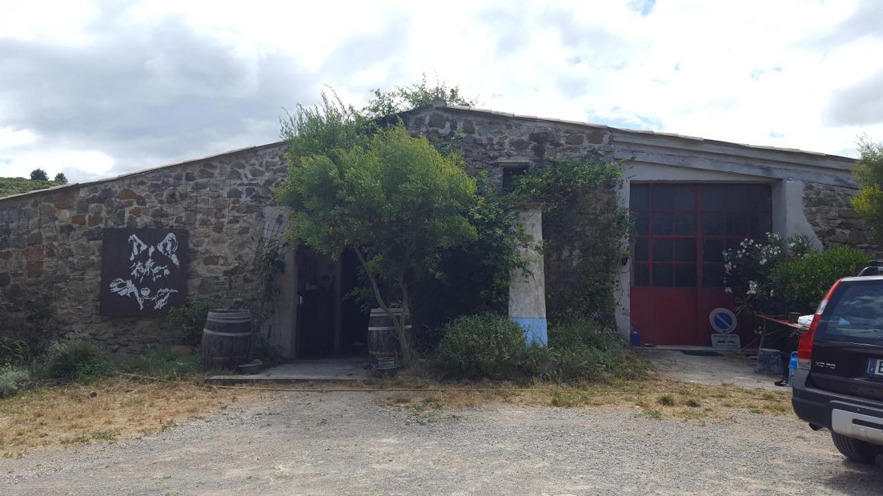 Bed and Breakfast La Loubiere, Ancienne Bergerie En Pleine Garrigue Fraissé-des-Corbières Exterior foto